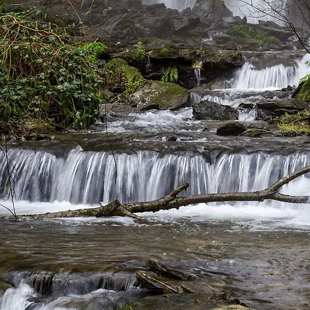 Duerming De Casa de hóspedes Arzúa